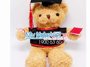 Gấu Tốt Nghiệp MNV-GTN10